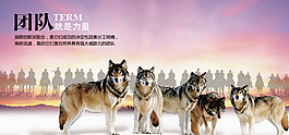 野狼團隊合作海報