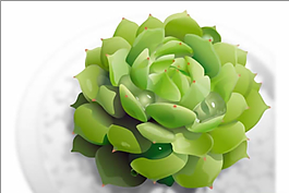 綠色植物矢量圖
