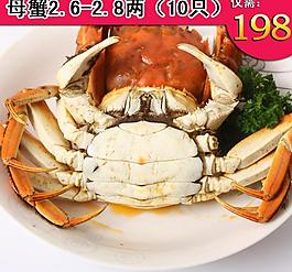 大閘蟹直通車圖片