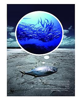 公益廣告 海魚圖片