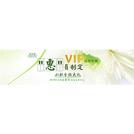 淘寶首頁(yè)VIP會(huì)員促銷圖首頁(yè)輪播大圖