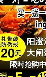 陽澄湖大閘蟹 淘寶 淘寶鉆展圖圖片