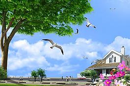 風(fēng)景圖片