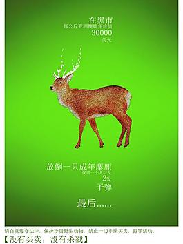 保護動物海報圖片