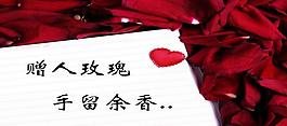 贈人玫瑰圖片