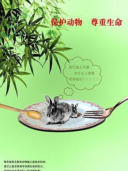 愛護動物圖片