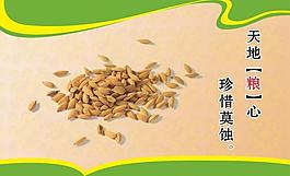 天地糧心圖片