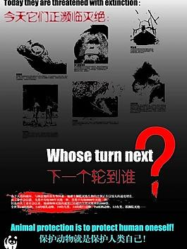 保護(hù)動(dòng)物海報(bào)圖片