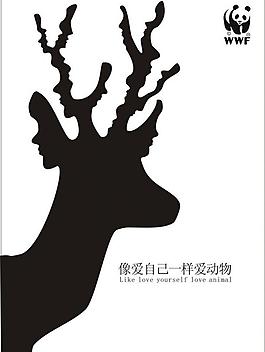 保護(hù)動(dòng)物圖片