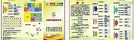 社區三折頁圖片
