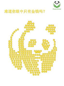 保護動物圖片