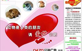 愛護動物圖片