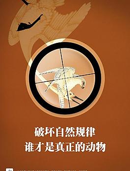 保护野生动物图片