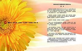 援助中心畫冊(cè)內(nèi)頁(yè)圖片