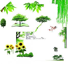 樹葉 花 樹圖片