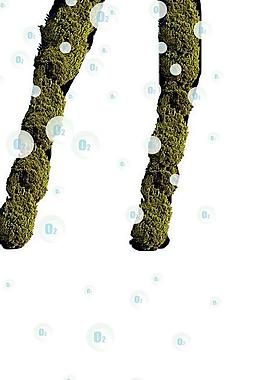 環保宣傳海報圖片