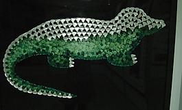 鱷魚圖片