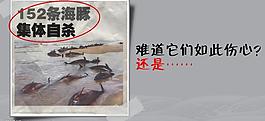 关爱动物图片