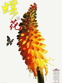 文化海報圖片