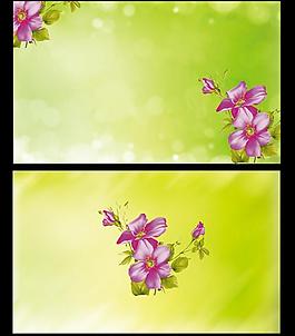 綠色清爽花朵背景設(shè)計(jì)圖片