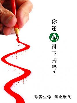 珍爱生命 节约能源图片