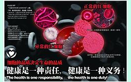 紅細胞海報圖片