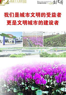 漳浦十大名片圖片