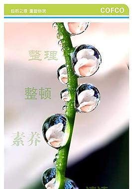 企業(yè)文化圖片