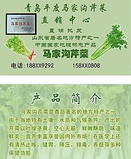 芹菜名片圖片