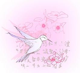 蜂鳥圖片
