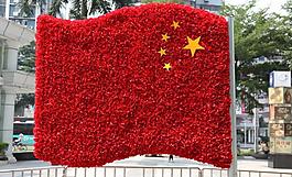 鮮花紅旗圖片