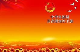 中學生共青團知識手冊圖片