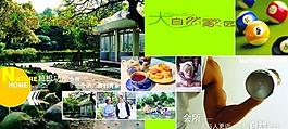 公司畫冊圖片