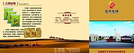 企業(yè)畫(huà)冊(cè)圖片