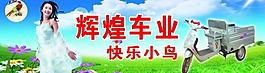 小鳥電動(dòng)車圖片