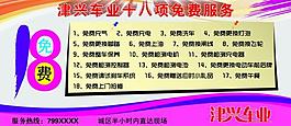 小鳥電動(dòng)車圖片