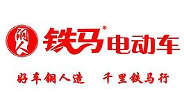 铁马电动车图片
