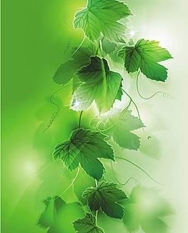 夢(mèng)幻植物背景矢量素材-5