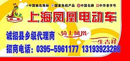 凤凰电动车图片