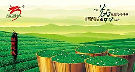 龙园号茗茶