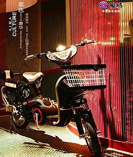 愛瑪電動車圖片