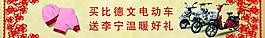 比德文電動車圖片