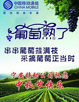 葡萄圖片
