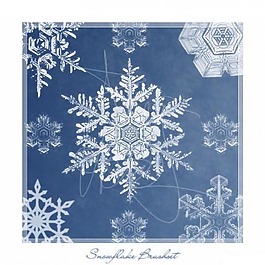 高清晰雪花筆刷（含PNG及AI文件）