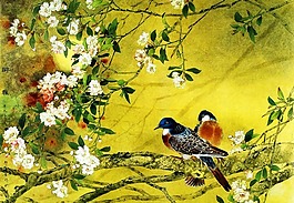 比翼鳥