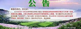 網店公告廣告圖片