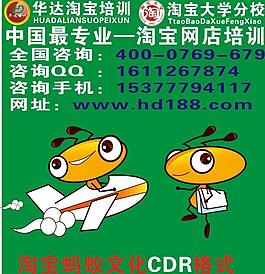 东莞淘宝培训 蚂蚁图片