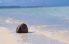 海灘圖片
