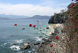 海灘圖片