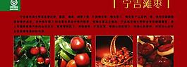 寧夏灘棗圖片